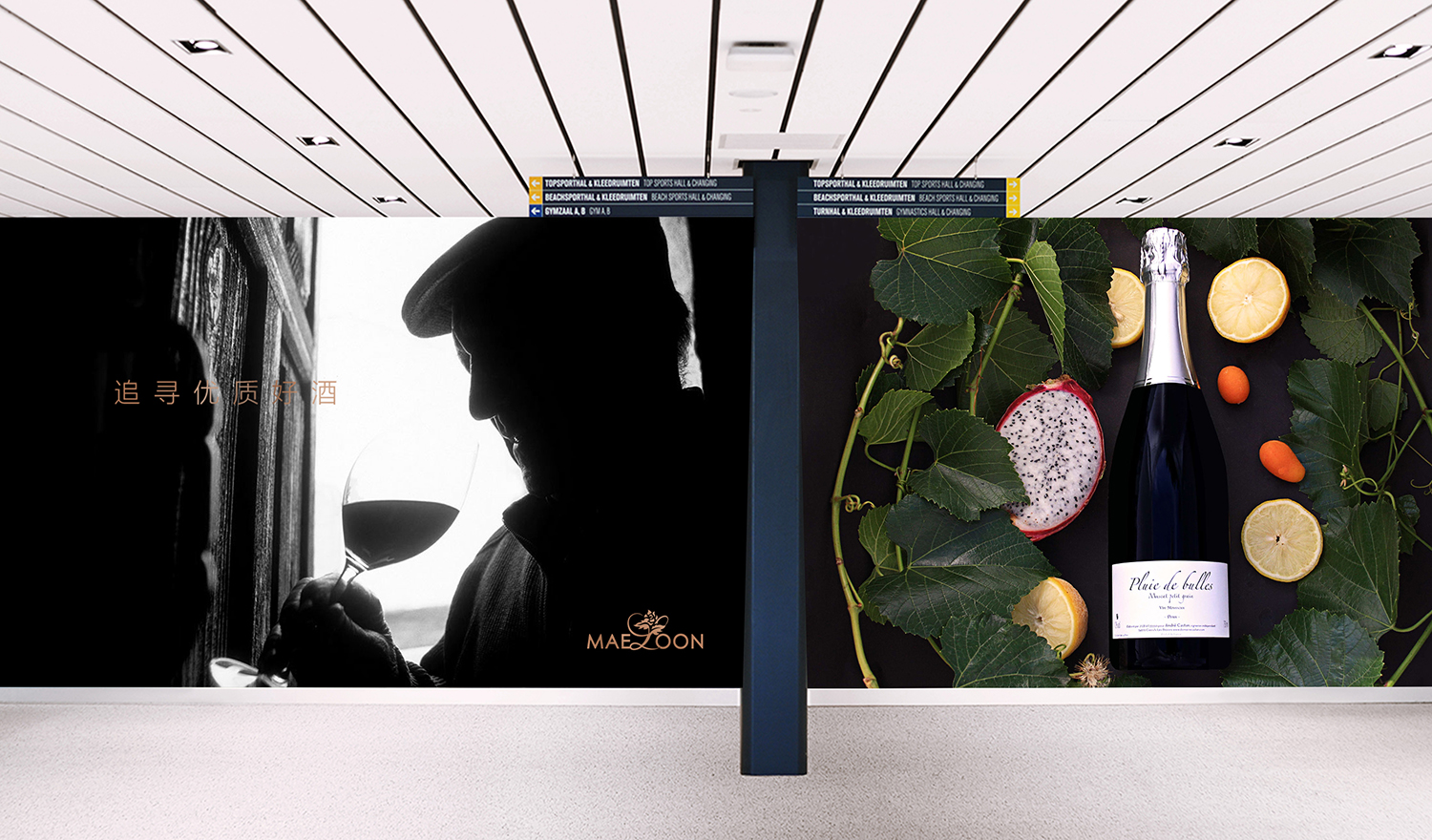 麦朗红产品品牌全案设计